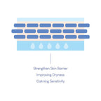 [PURITO] Dermide Cica Barrier Sleeping Pack 80ml